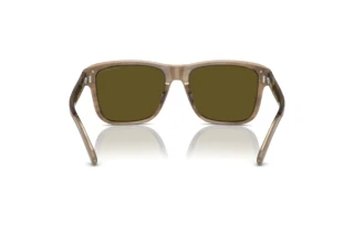 Vue arrière Emporio Armani EA4208 (605573)