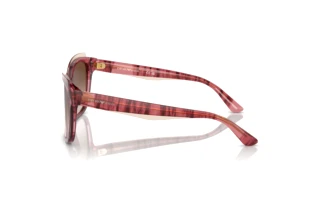 Vue latérale Emporio Armani EA4209 (605713)