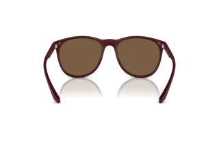 Vue arrière Emporio Armani EA4210 (526173)