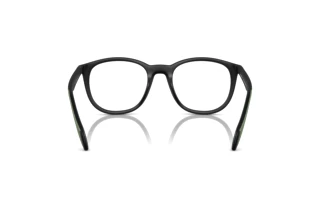 Vue arrière Emporio Armani EA4211 (50011W)