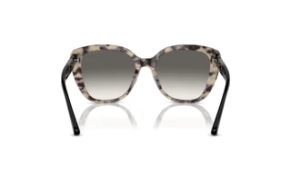 Vue arrière Emporio Armani EA4214U (605811)