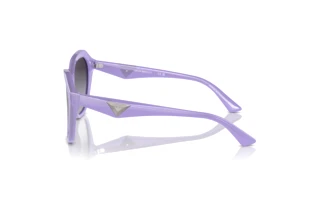 Vue latérale Emporio Armani EA4221 (61178G)