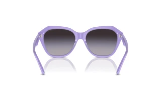 Vue arrière Emporio Armani EA4221 (61178G)