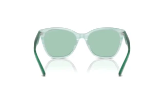 Vue arrière Emporio Armani EA4222U (611271)