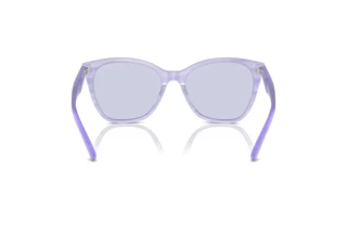 Vue arrière Emporio Armani EA4222U (61131A)