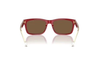 Vue arrière Emporio Armani EA4224 (609373)