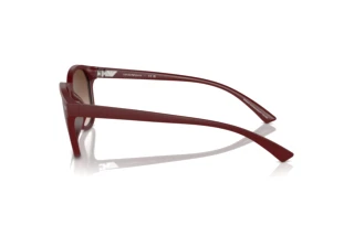 Vue latérale Emporio Armani EA4225U (610113)