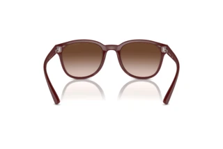 Vue arrière Emporio Armani EA4225U (610113)