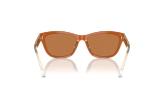 Vue arrière Emporio Armani EA4227U (609773)