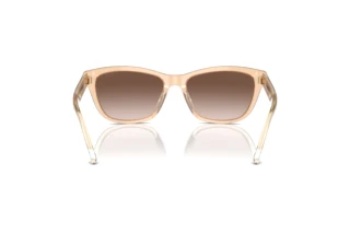 Vue arrière Emporio Armani EA4227U (609813)