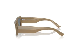 Vue latérale Emporio Armani EA4229U (6121TO)