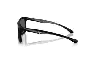 Vue latérale Emporio Armani EA4234U (5001T3)