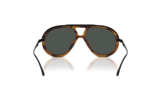 Vue arrière Emporio Armani EA4242U (621287)