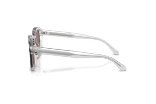 Vue latérale Emporio Armani EA4245U (62507N)