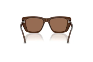 Vue arrière Emporio Armani EA4246U (625173)