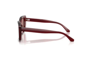 Vue latérale Emporio Armani EA4246U (625473)