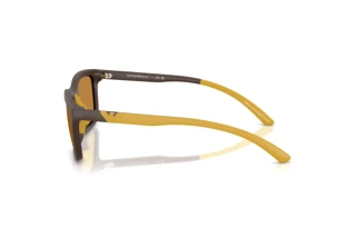 Vue latérale Emporio Armani EA4249U (625893)