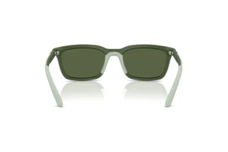 Vue arrière Emporio Armani EA4249U (625971)