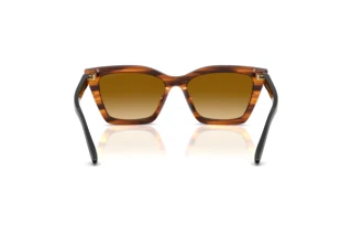 Vue arrière Emporio Armani EA4250U (62682L)