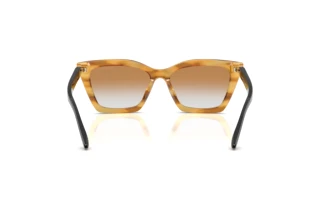 Vue arrière Emporio Armani EA4250U (62692Q)