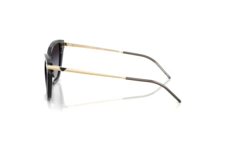 Vue latérale Emporio Armani EA4251 (62628G)