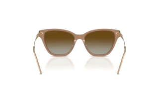 Vue arrière Emporio Armani EA4251 (6263T5)