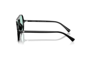Vue latérale Emporio Armani EA4252U (501765)