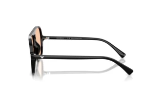 Vue latérale Emporio Armani EA4252U (501793)