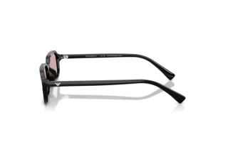 Vue latérale Emporio Armani EA4253U (501773)