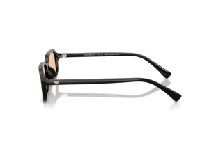 Vue latérale Emporio Armani EA4253U (501793)