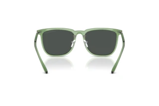 Vue arrière Emporio Armani EA4255D (536287)