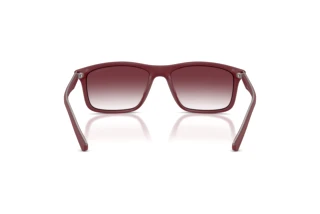 Vue arrière Emporio Armani EA4257U (52618H)