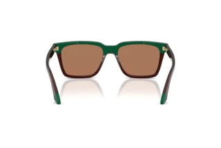 Vue arrière Emporio Armani EA4260 (631573)