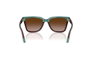 Vue arrière Emporio Armani EA4261 (631813)