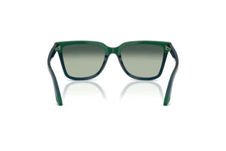 Vue arrière Emporio Armani EA4261 (631919)