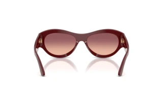 Vue arrière Emporio Armani EA4265U (63238D)