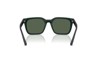 Vue arrière Emporio Armani EA4269 (637071)