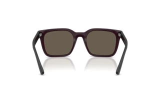 Vue arrière Emporio Armani EA4269 (6371/3)