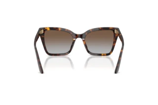 Vue arrière Emporio Armani EA4273BU (502689)