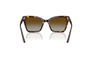 Vue arrière Emporio Armani EA4273BU (5026T5)