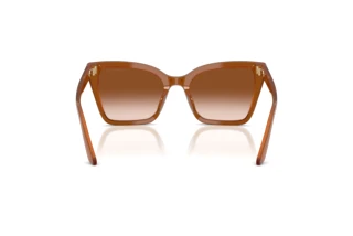 Vue arrière Emporio Armani EA4273BU (637613)