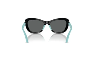 Vue arrière Emporio Armani EK4004 (501787)