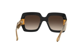 Vue arrière Etro ETRO 0011/S (71C/HA)