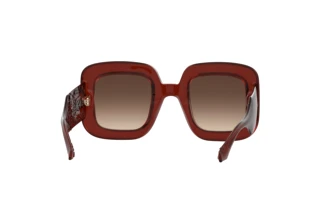 Vue arrière Etro ETRO 0015/S (2LF/HA)