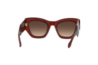 Vue arrière Etro ETRO 0017/S (2LF/HA)