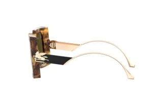 Vue latérale Etro ETRO 0026/S (EPZ/QT)