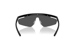 Vue arrière Ferrari Scuderia FZ6001 (501/87)