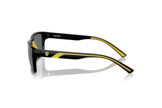 Vue latérale Ferrari Scuderia FZ6003U (501/87)