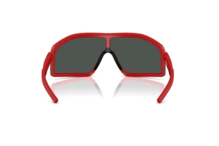 Vue arrière Ferrari Scuderia FZ6010U (514/87)