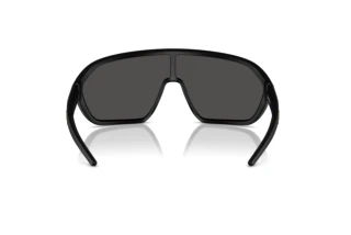 Vue arrière Ferrari Scuderia FZ6011U (504/87)